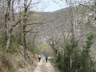 Gorges du Tarn - Causse Méjean
