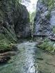 Slovénie : Gorges de Vintgar