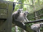 Guadeloupe