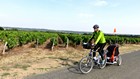 Loire à vélo : Dans les coteaux