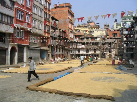 Kathmandou - Sechage du riz sur la cours de Yitum Bahal