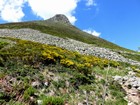 Tour des monts du Cantal : le Puy Griou