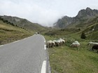 Traversée des Pyrénées - Dans le col du Tourmalet